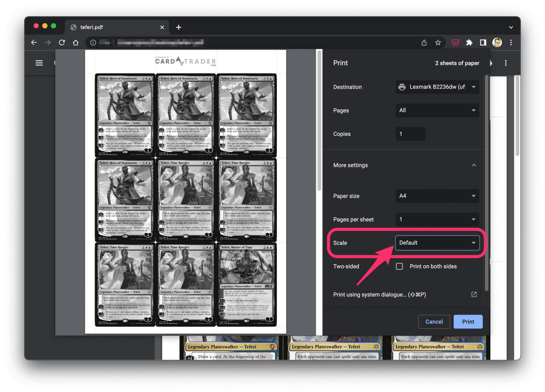 Google Chrome print window